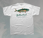Fish T-Shirts